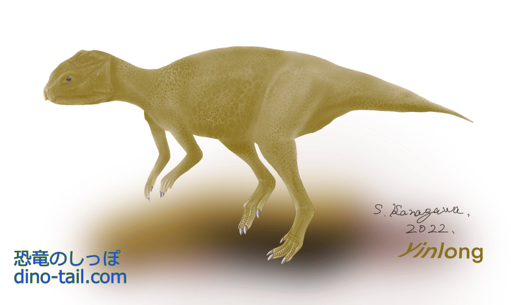 Illustration of Yinlong
