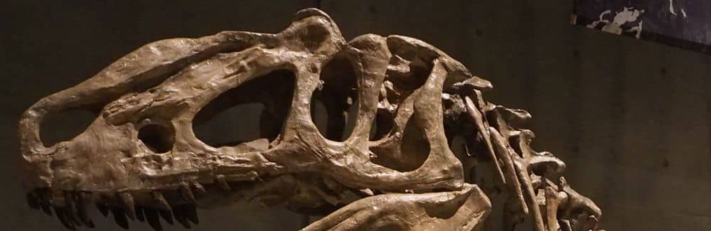 Yutyrannus
