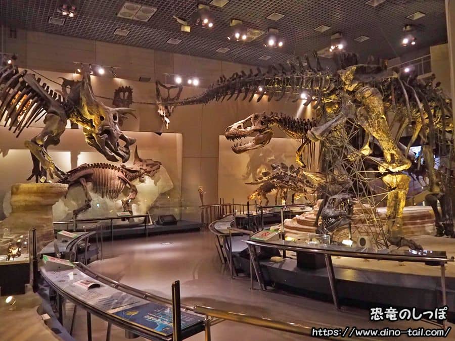 Galería de la Tierra B1_Área de dinosaurios