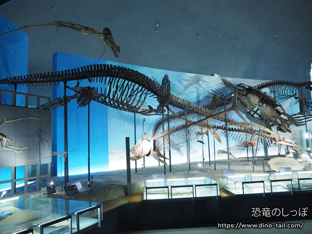 Museo de Dinosaurios de la Prefectura de Fukui 2do piso - Historia de la Vida
