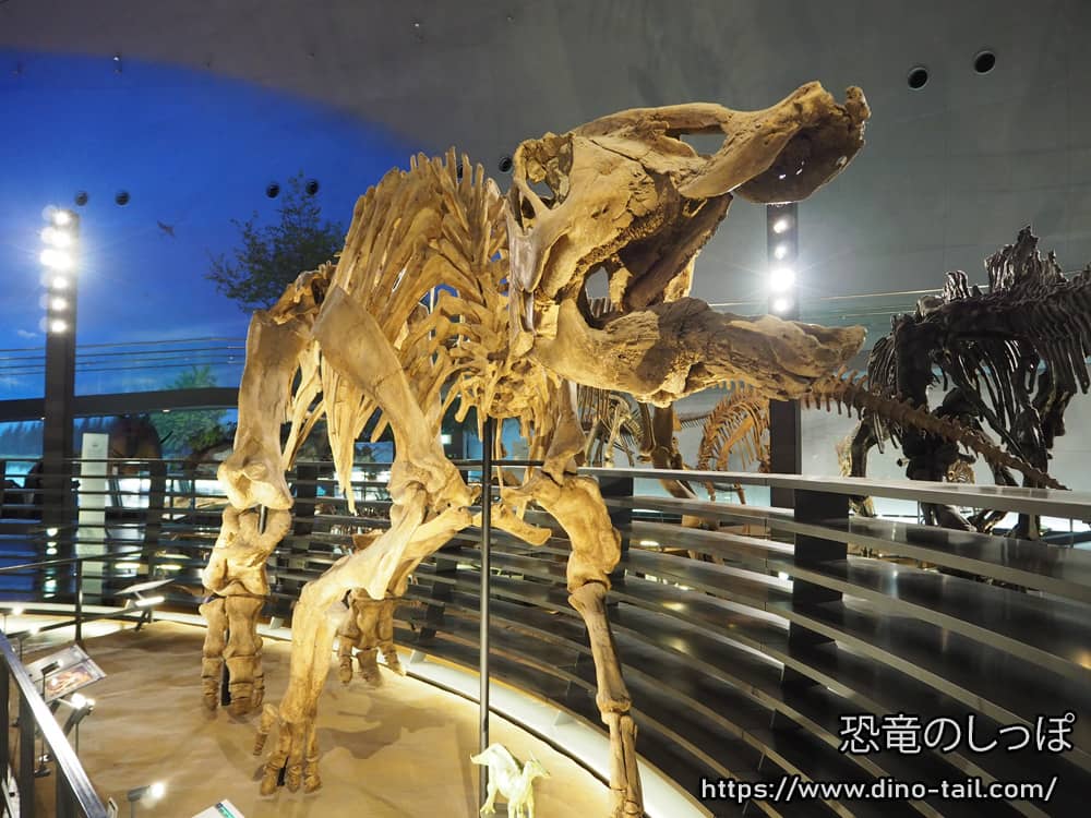 Esqueleto completo de Saurolophus (10.6m) en el Museo de Dinosaurios de la Prefectura de Fukui