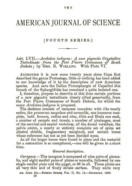 Extracto del artículo de descripción de Archelon (1896)