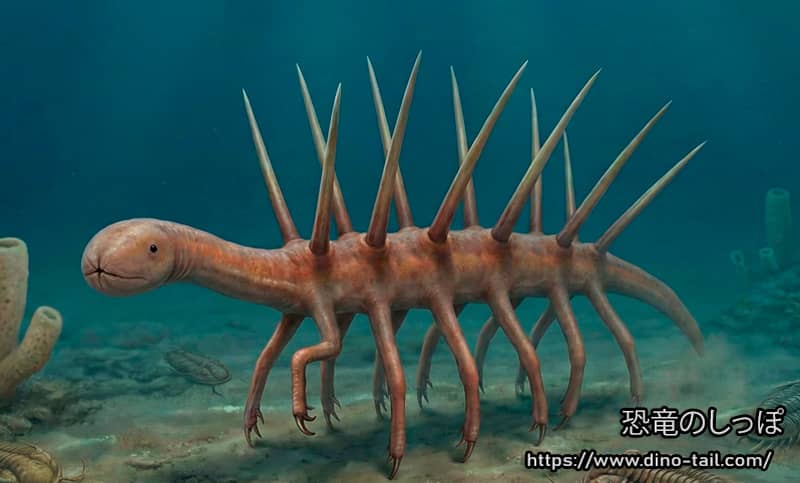 Reconstrucción de Hallucigenia