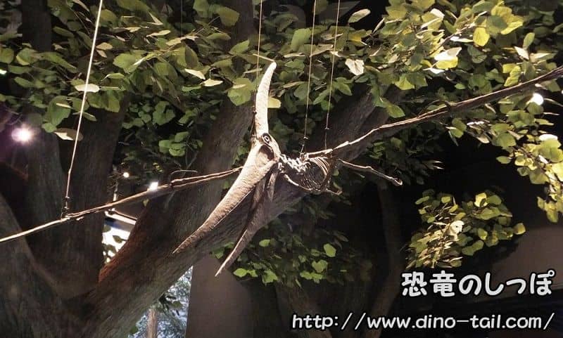 Esqueleto fósil completo (tomada en 2015)