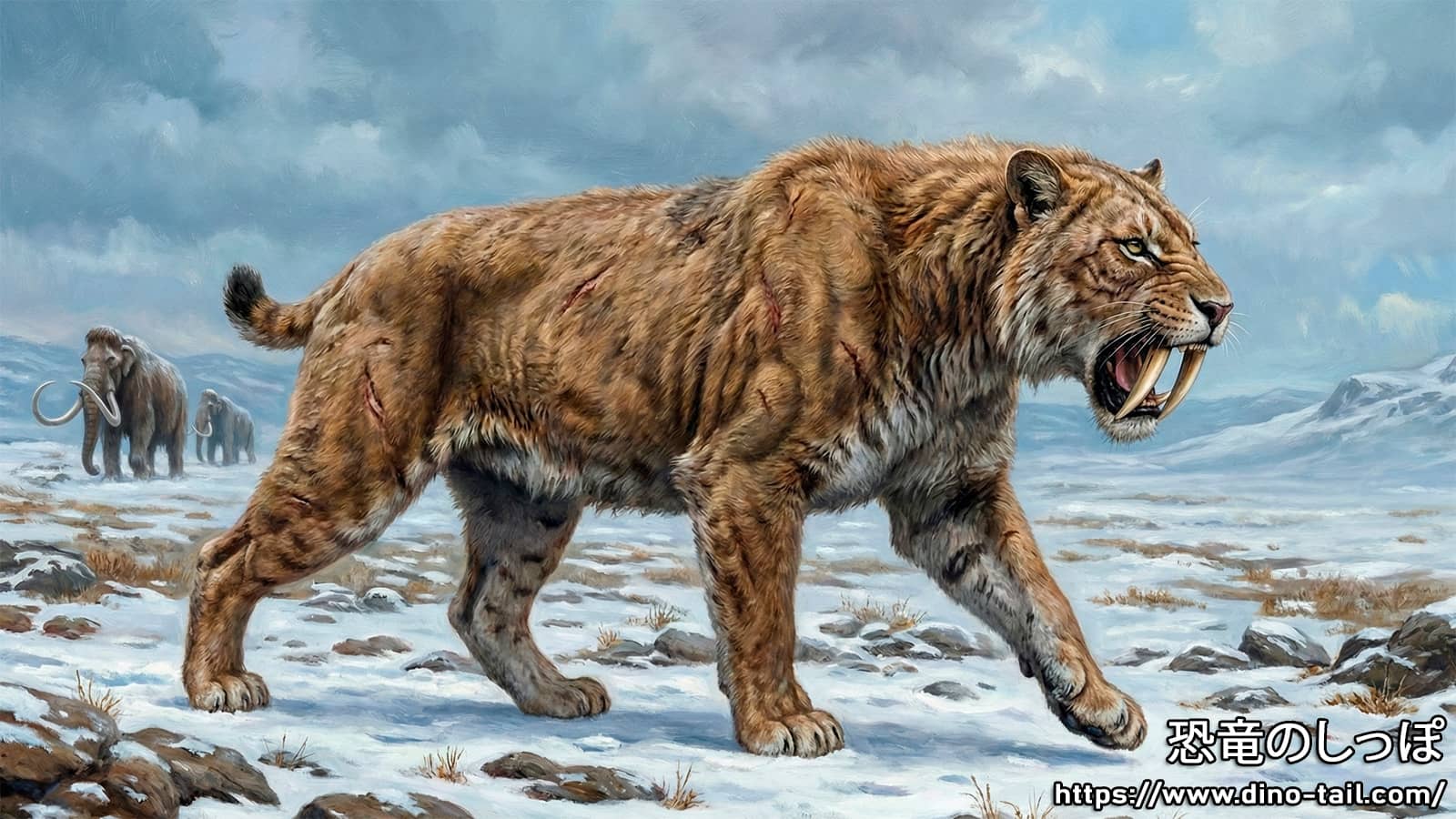 Saber-toothed tiger / Tigre de dientes de sable