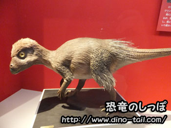 Modelo de vida de Kulindadromeus (fotografiado en 2016)