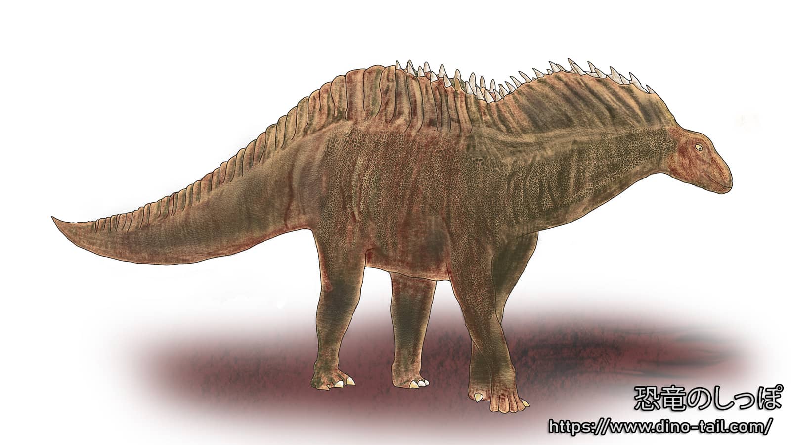Ilustración de Amargasaurus