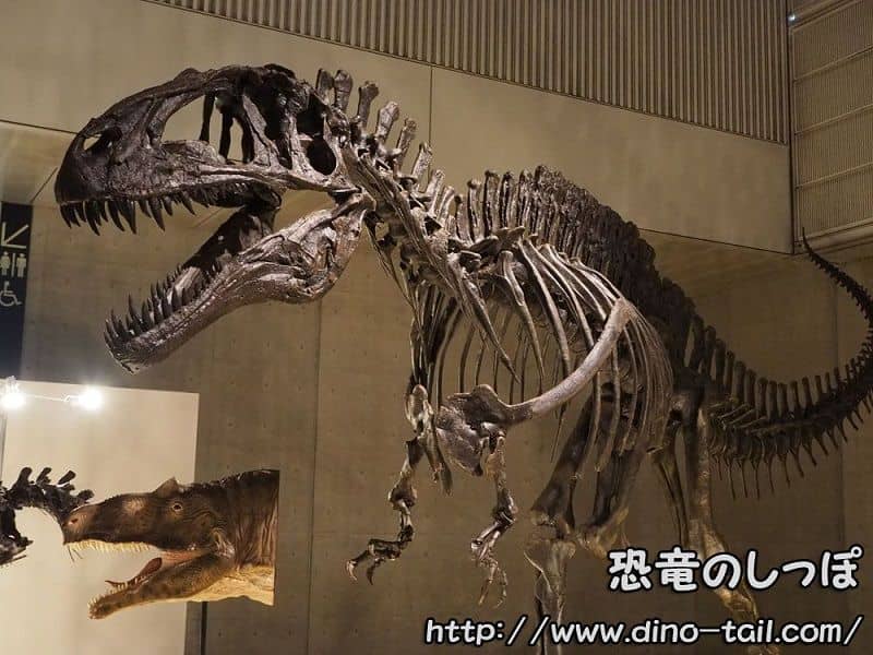 Esqueleto fósil de Theropoda (Acrocanthosaurus)