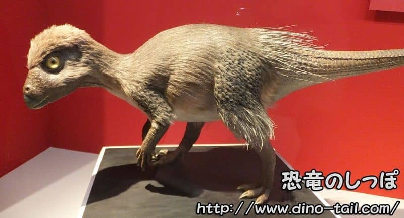 Modelo de reconstrucción en vida de Kulindadromeus