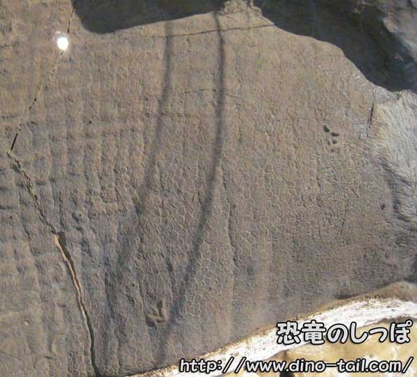 Imagen conceptual de la piel de los dinosaurios