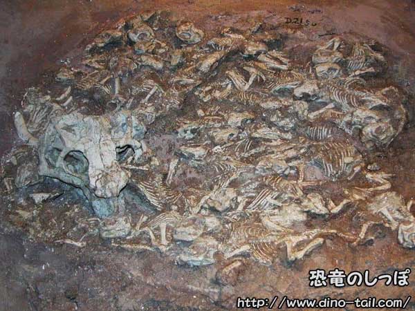 Imagen conceptual de la crianza de los dinosaurios