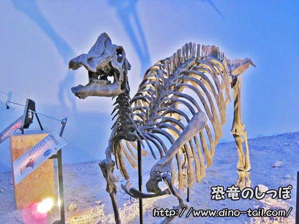 Imagen del Nipponosaurus, dinosaurio descubierto en Japón
