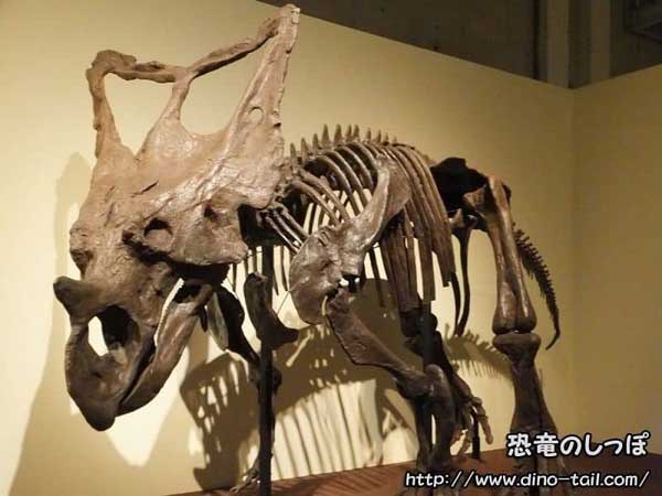 Imagen conceptual de cómo estimar el peso de los dinosaurios