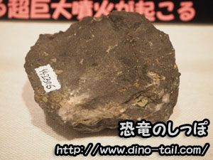 Traps del Decán (basalto de inundación)