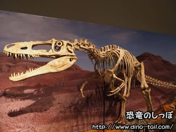 Esqueleto fósil completo de Alioramus