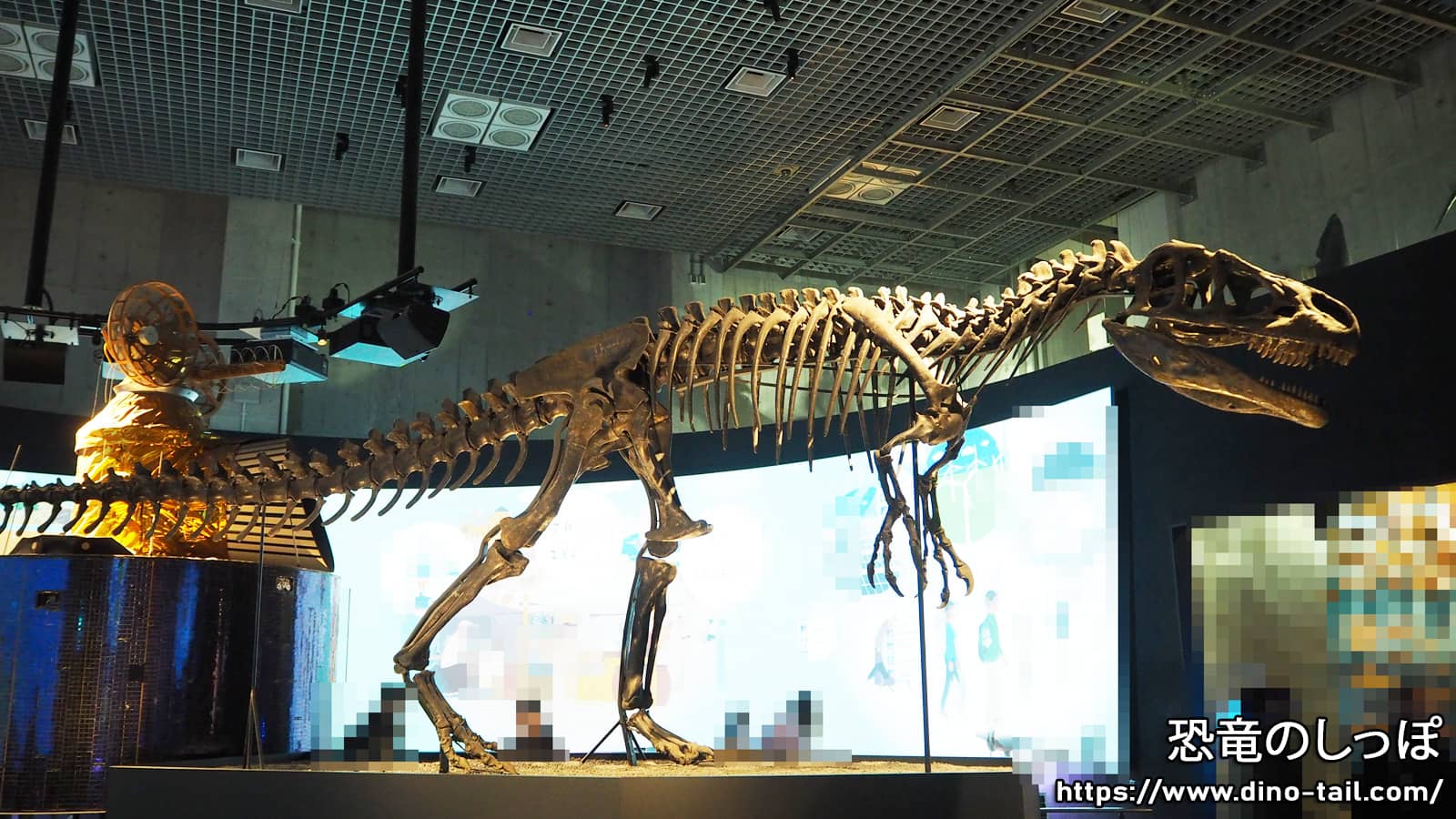 Esqueleto fósil completo de Allosaurus en el Museo Nacional de Naturaleza y Ciencia