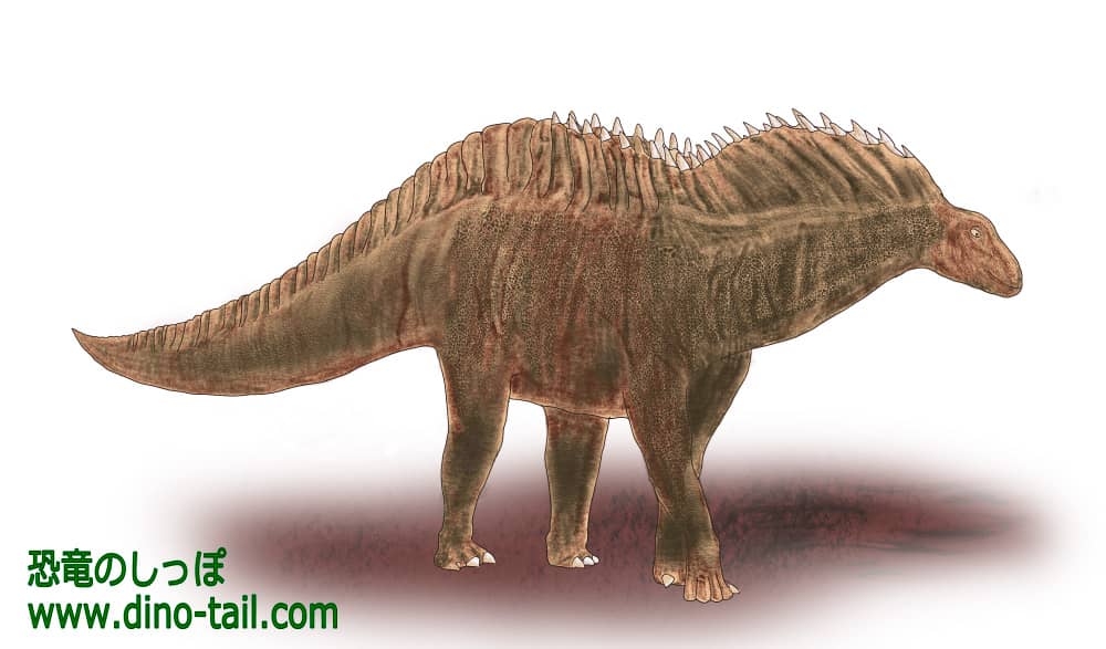 Ilustración de Amargasaurus (2022)