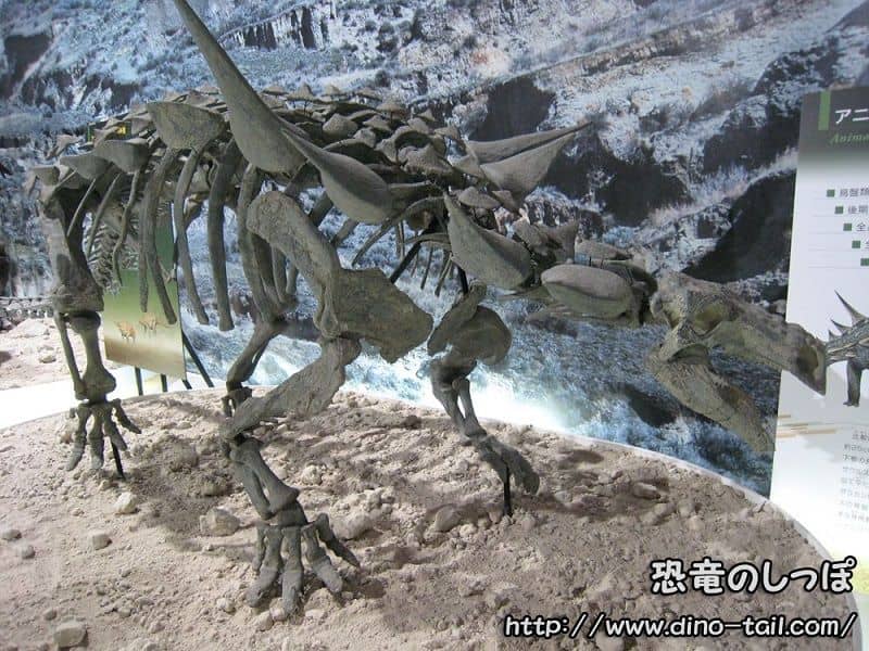 Esqueleto fósil completo de Animantarx