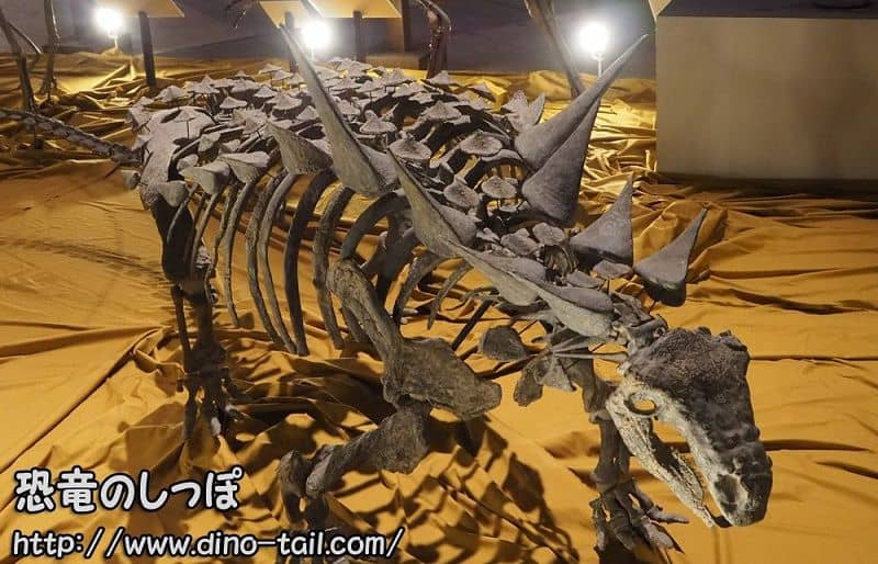 Esqueleto fósil completo de Animantarx