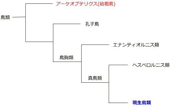 Filogenia de Archaeopteryx