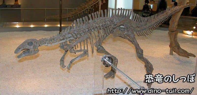 Esqueleto fósil de Bactrosaurus