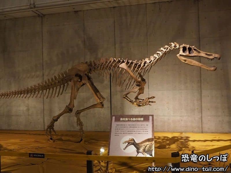 Esqueleto fósil de Baryonyx