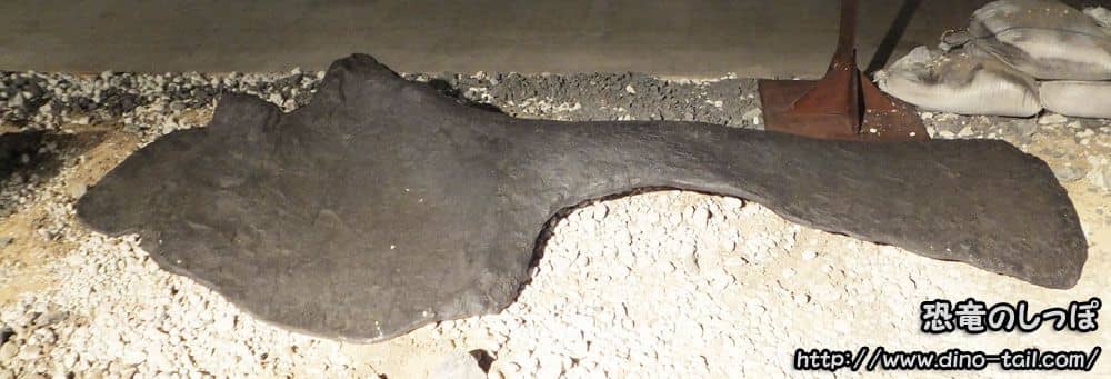 Fémur fósil de Brachiosaurus