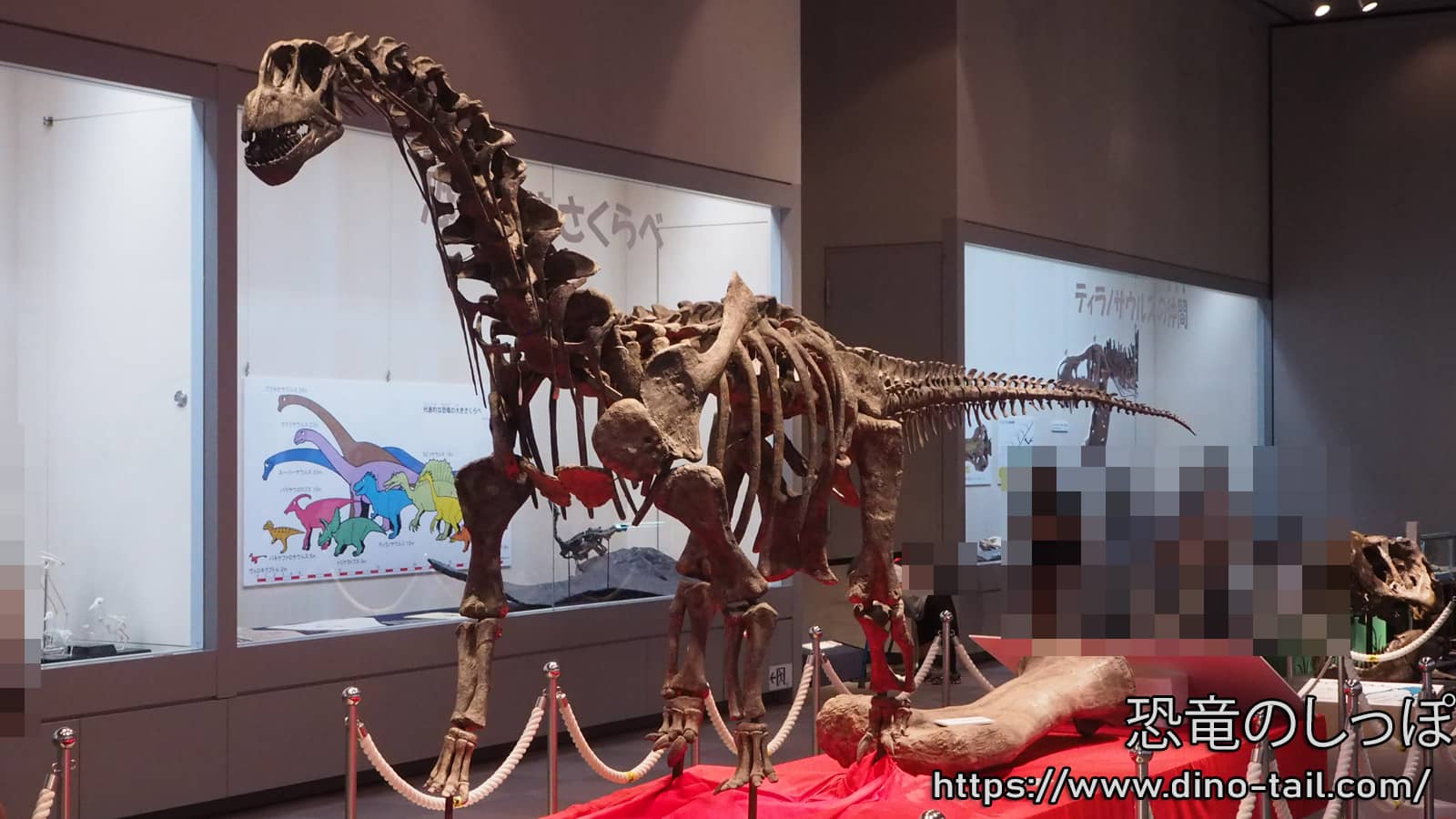 Esqueleto fósil de Camarasaurus