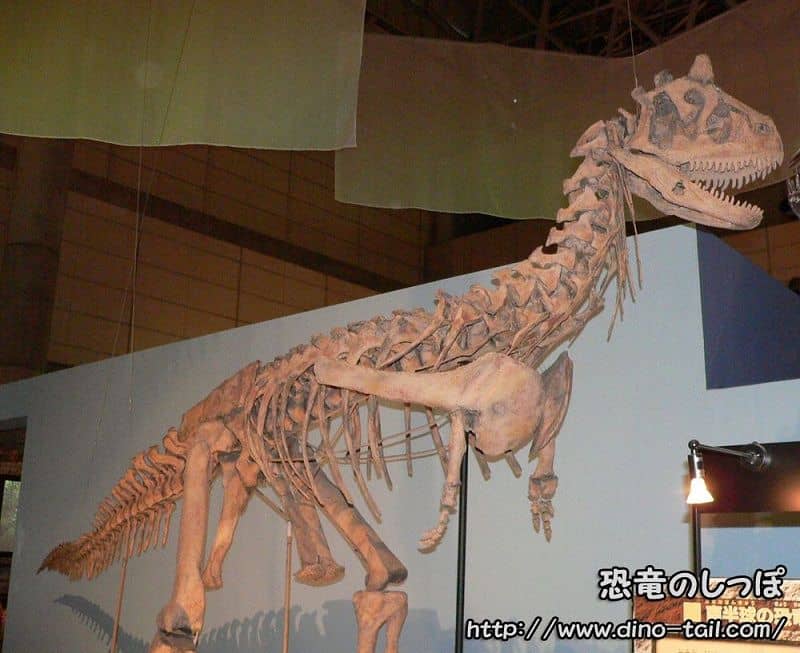 Esqueleto completo de Carnotaurus