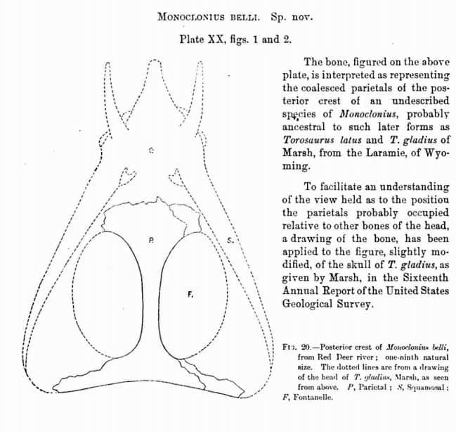 Extracto de la publicación que describe a Monoclonius