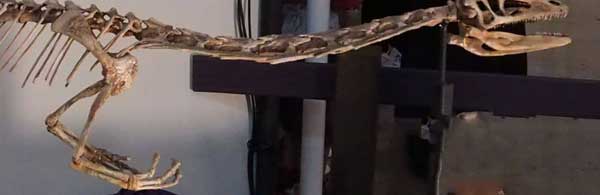 Nombres de Género A-G