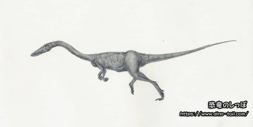 Dibujo a lápiz de Coelophysis