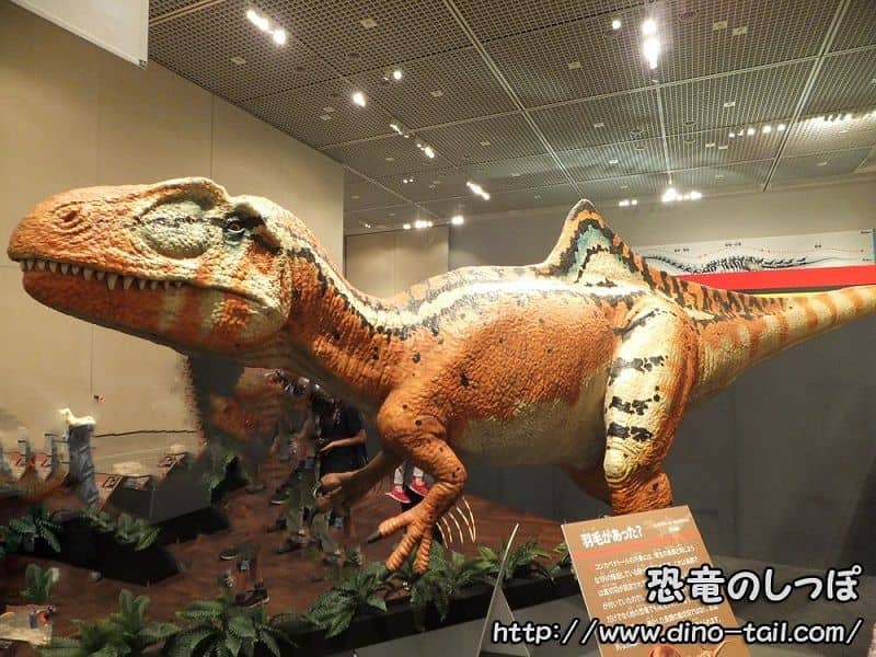 Modelo de reconstrucción de Concavenator