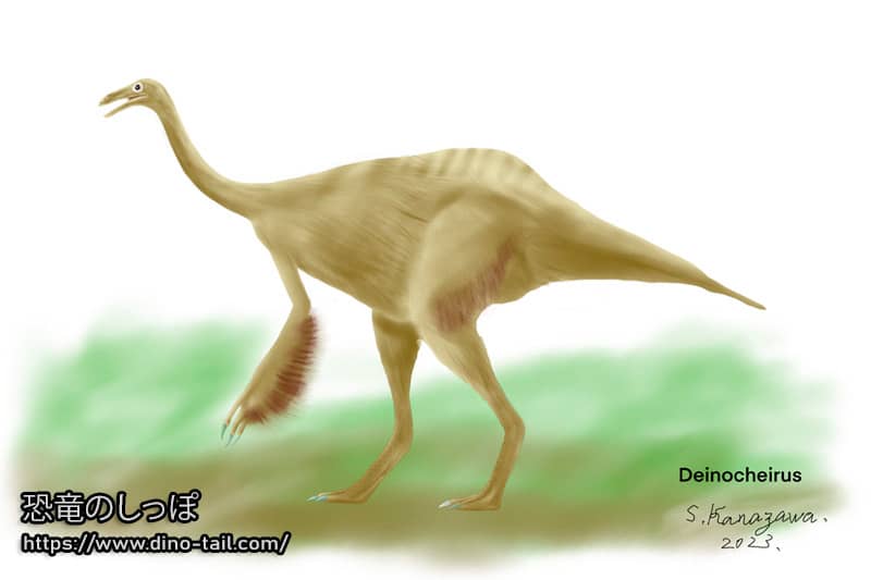 Ilustración de Deinocheirus