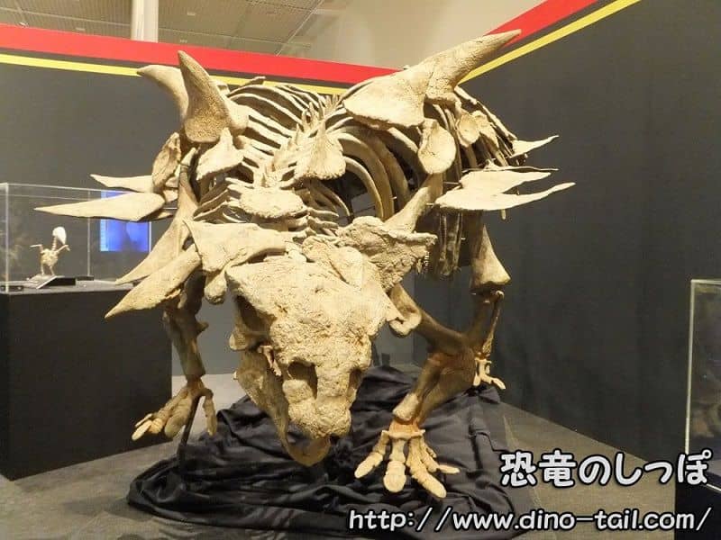 Esqueleto fósil completo de Gastonia