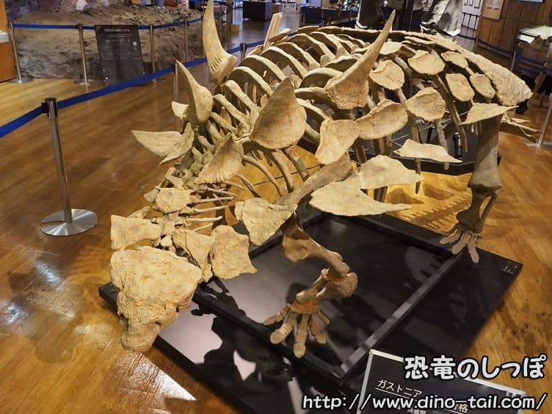 Esqueleto fósil completo de Gastonia