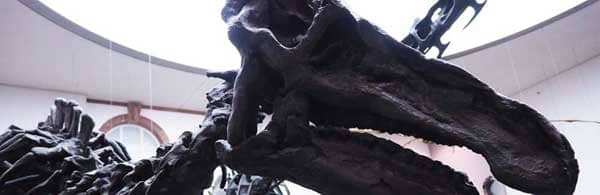 Nombres de Género A-G