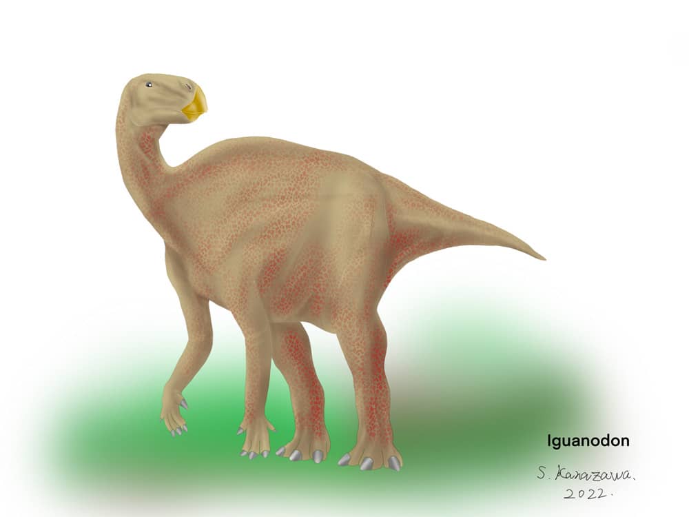 Ilustración de Iguanodon