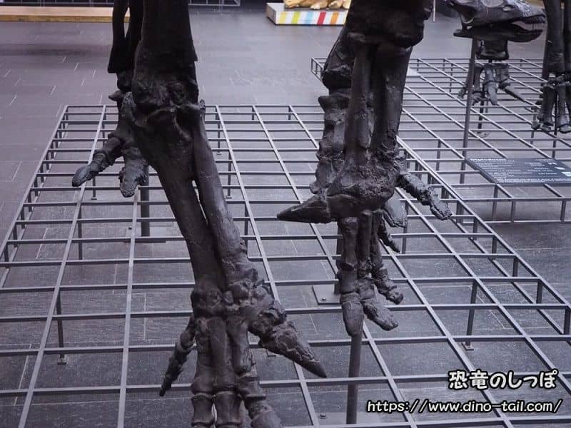 Mano delantera de Iguanodon