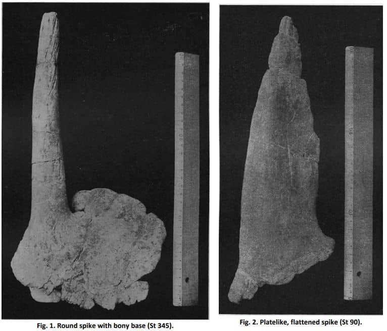 Espigas y placas de Kentrosaurus (publicación original de 1915)