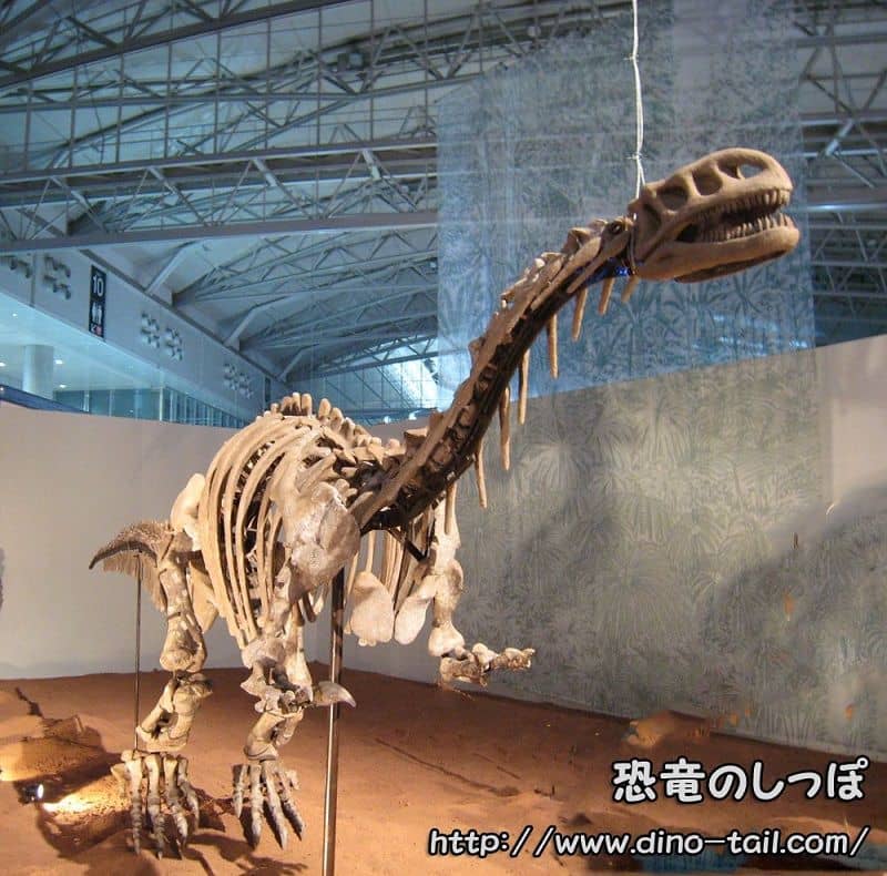 Esqueleto fósil completo de Lufengosaurus