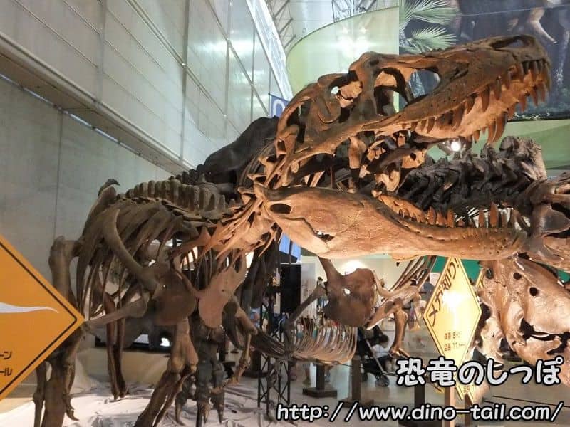 Esqueleto fósil completo de Lythronax