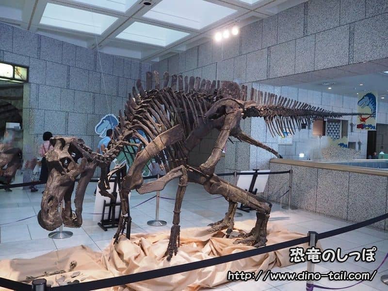 Esqueleto fósil completo de un joven Maiasaura