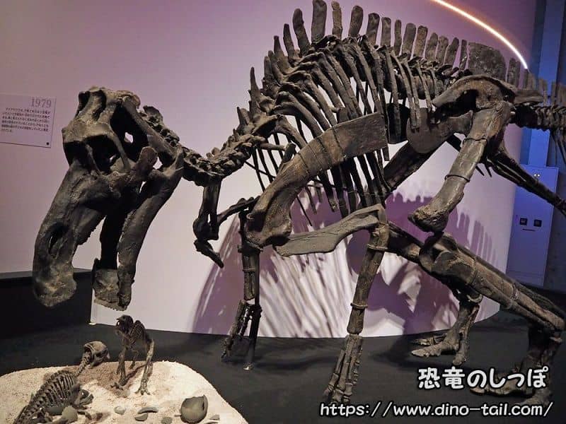 Padre e hijo de Maiasaura