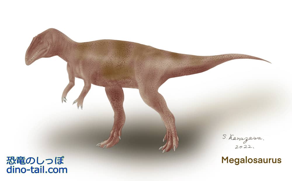 Ilustración de Megalosaurus