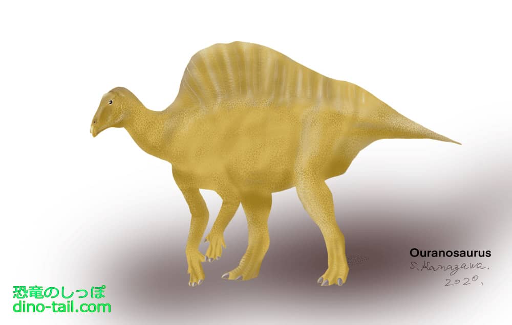 Ilustración de Ouranosaurus