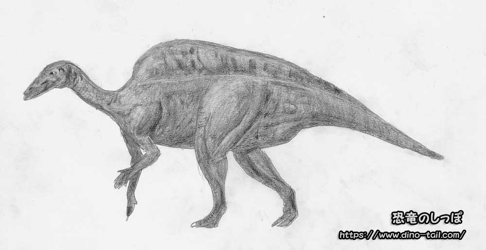 Ilustración de Ouranosaurus a lápiz