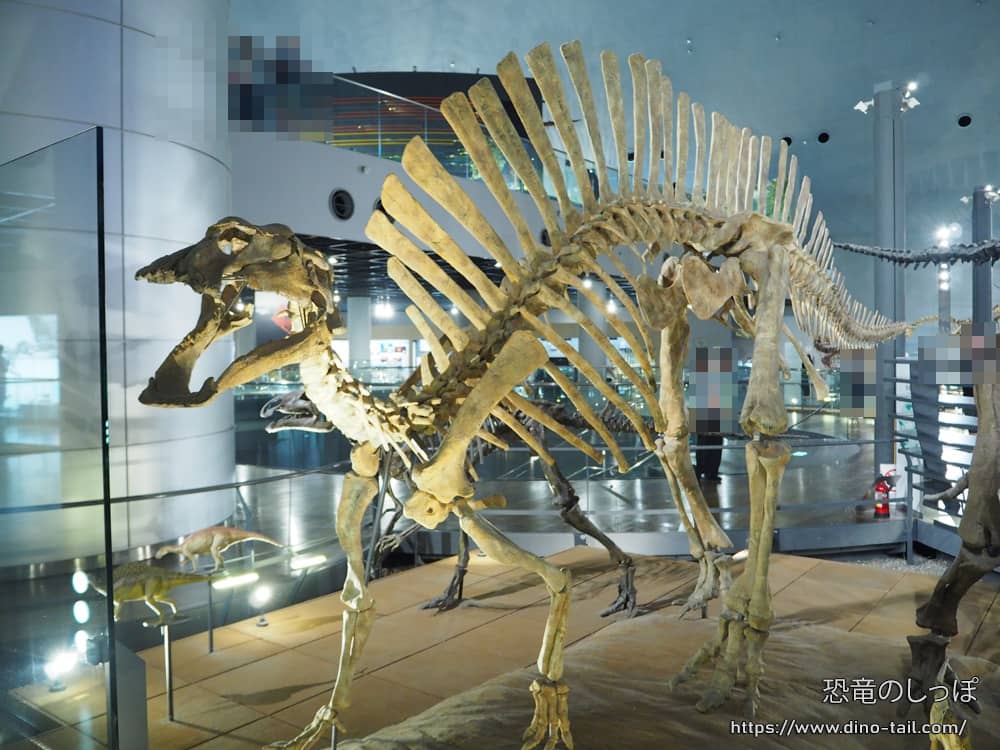 Esqueleto fósil completo de Ouranosaurus