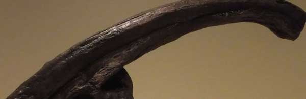 Nombres de Género H-P