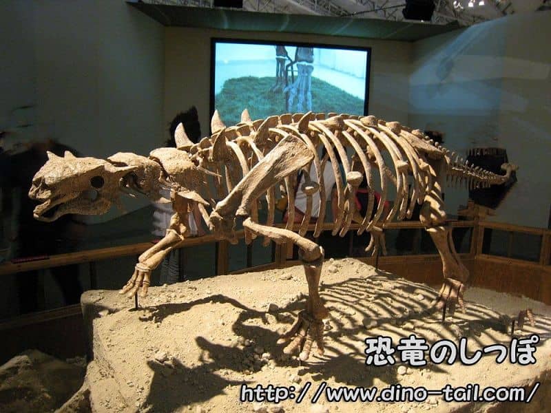 Esqueleto fósil completo de Pinacosaurus